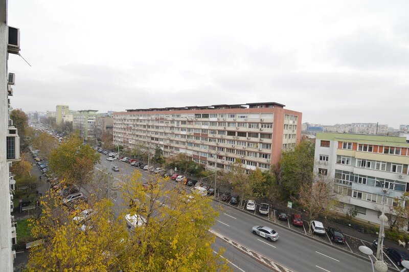 Dimitrie Cantemir, Parc Tineretului